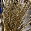 Golden artificial plant living room decoration, living room illustration decoration details Picture